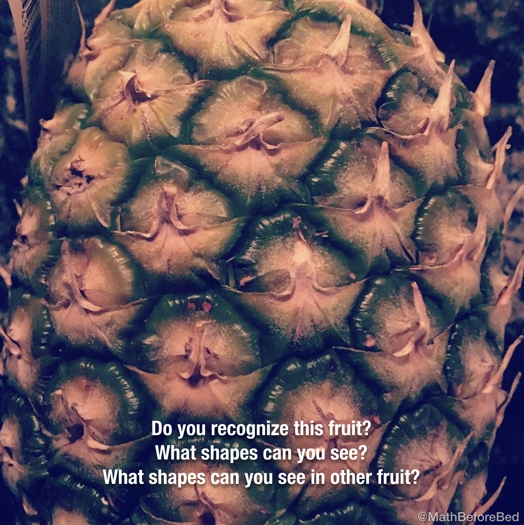 Fruit Shapes